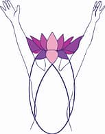 LogoPSHfarge web
