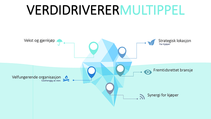 multippler og verdien av en bedrift 